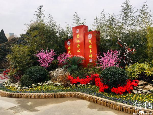 繽紛花壇慶元旦 雙梅鬧春迎新年！走，碧沙崗公園逛逛去